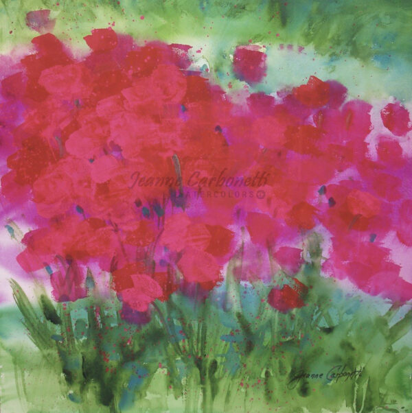 Tulips in the Pink